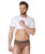 Men’s Underwear Intimo-Tech Antimicrobial Micro Modal Bold Brief